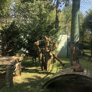 Eurasian Lynx Enclosure