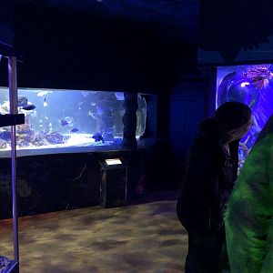 General View of Coral Cove at SEA LIFE Scarborough (September 2022)