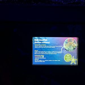Red Lionfish Signage at SEA LIFE Scarborough (September 2022)