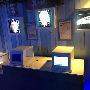 Turtle Rescue Interactive Exhibits at SEA LIFE Scarborough (September 2022)