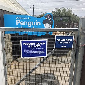 Entrance to Penguin Island at SEA LIFE Scarborough (September 2022)