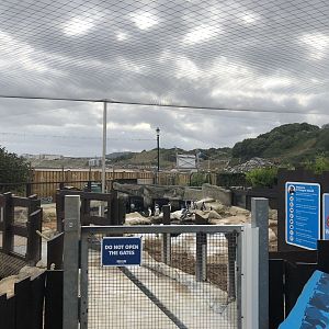 Penguin Island at SEA LIFE Scarborough (September 2022)