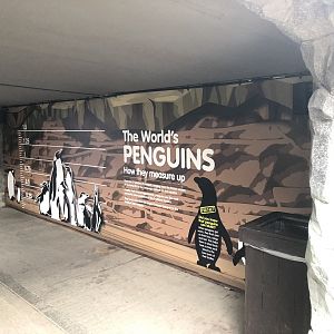Penguin Signage at SEA LIFE Scarborough (September 2022)