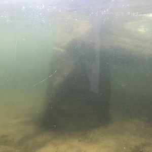 Penguin Pool at SEA LIFE Scarborough (September 2022)