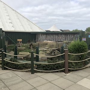 Otter Enclosure Viewing Area at SEA LIFE Scarborough (September 2022)