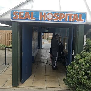 Entrance to the Seal Hospital at SEA LIFE Scarborough (September 2022)