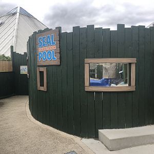 Seal Rehabilitation Pool Viewing Area at SEA LIFE Scarborough (September 2022)