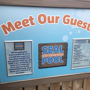 Seal Rehabilitation Pool Signage at SEA LIFE Scarborough (September 2022)