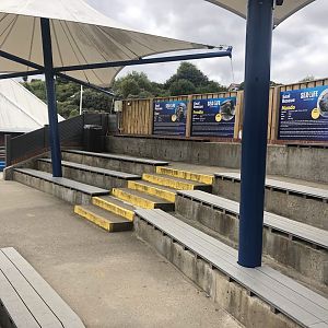 Seal Show Seating at SEA LIFE Scarborough (September 2022)