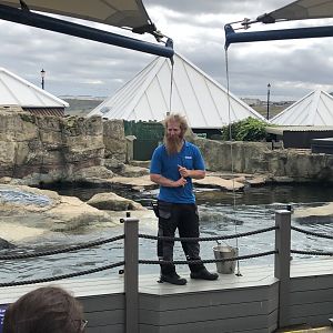 Seal Feeding at SEA LIFE Scarborough (September 2022)