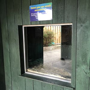 Otter Indoor Enclosure at SEA LIFE Scarborough (September 2022)