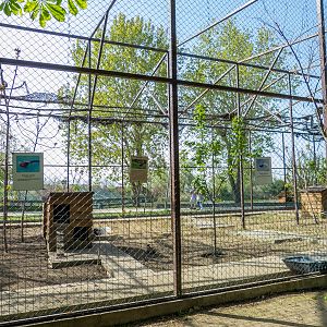 Enclosure of pheasants