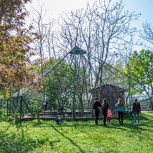 typical enclosure of water fowl, ducks and pidgeons