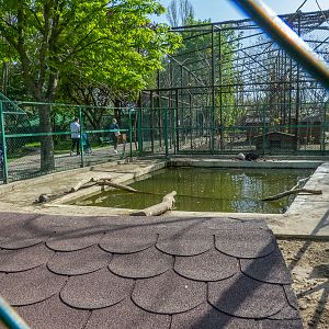 enclosure of nutrias