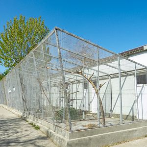 Enclosures of parrots
