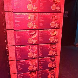 Ocean Tank Signage at SEA LIFE Scarborough (September 2022)