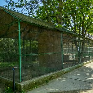 enclosure of racoons