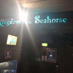 Entrance to Kingdom of the Seahorse at SEA LIFE Scarborough (September 2022)