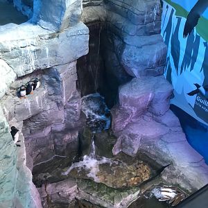 Upper View of the Coastal Tank at SEA LIFE Scarborough (September 2022)