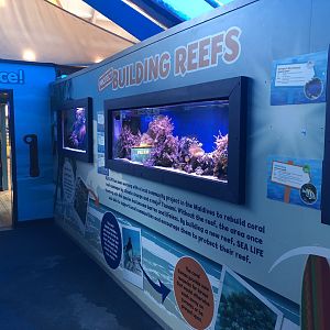 Smaller Reef Tanks at SEA LIFE Scarborough (September 2022)