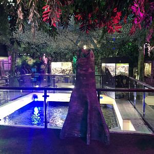 General View of Rainforest Adventure at SEA LIFE Scarborough (September 2022)