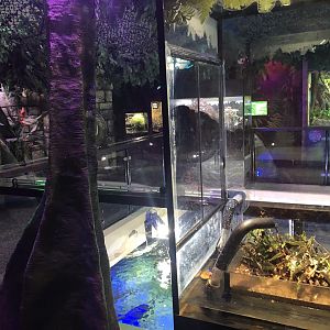 Ant Tunnel at SEA LIFE Scarborough (September 2022)