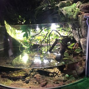 Matamata Enclosure at SEA LIFE Scarborough (September 2022)