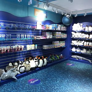 Gift Shop at SEA LIFE Scarborough (September 2022)