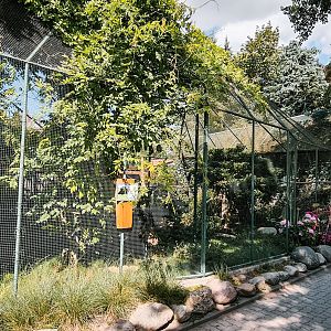 Great Horned Owl aviary