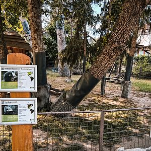 Opossum and North American Porcupine