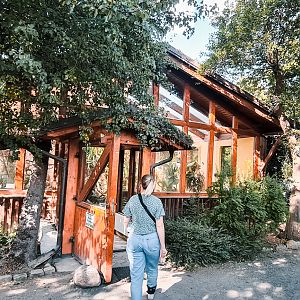 Rainforest house outdoor