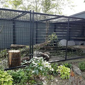 Porcupine Mixed Species Habitat