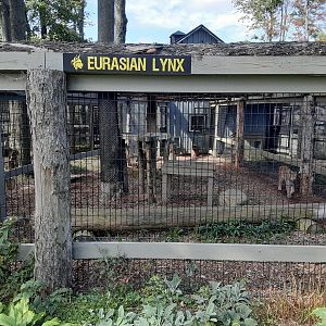 Eurasian Lynx Habitat
