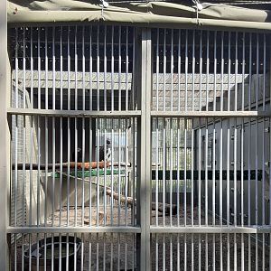 Martial Eagle and Bald Eagle Habitat