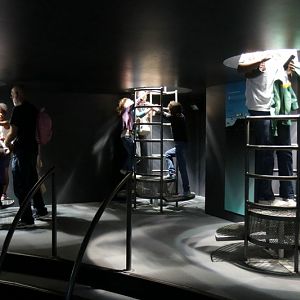 Coral reef - viewing bubbles