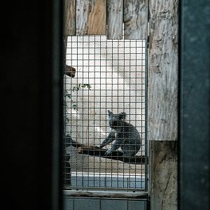 One of the backstage male