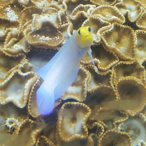 St. Lucie Aquarium - Sudden surprise