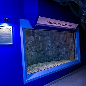 tank of Northern Pike