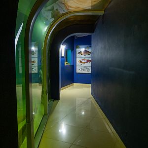 tunnel of the tank of sturgeons