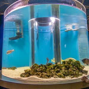 cylinder tank with cylinder for kids