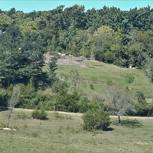 Watani Grasslands Reserve - Former African Pavilion Site