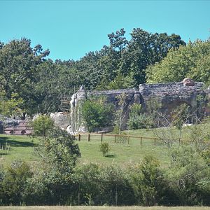 Baboon Habitat Renovation