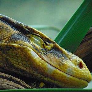 Mindanao Water Monitor