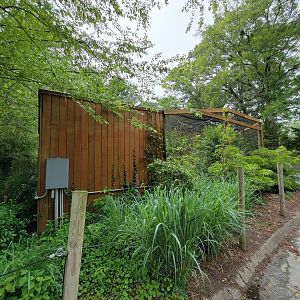Salisbury - First Australia aviary