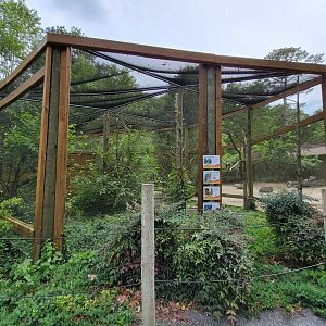 Salisbury - First Australia aviary