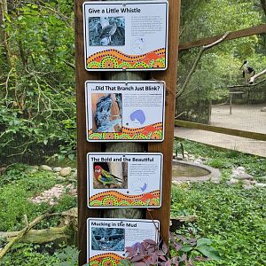 Salisbury - First Australia aviary