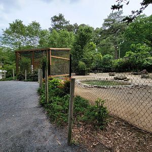 Salisbury - First Australian aviary, wallaby yard