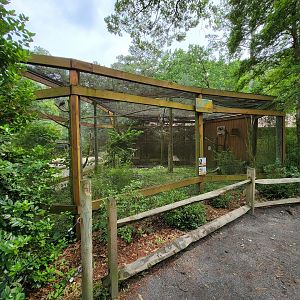 Salisbury - Second Australia aviary