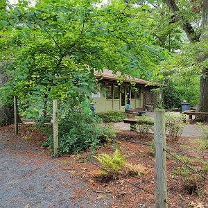 Salisbury - Gift shop