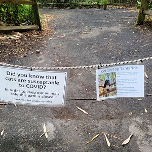 Salisbury - Coati/ocelot/tamarin path closed
